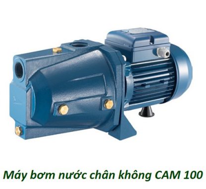 Máy bơm nước bán chân không Pentax CAM 150