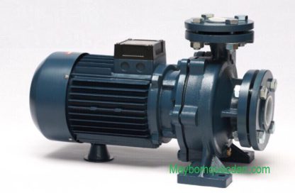 Máy bơm nước ly tâm Forerun MF 32/160B